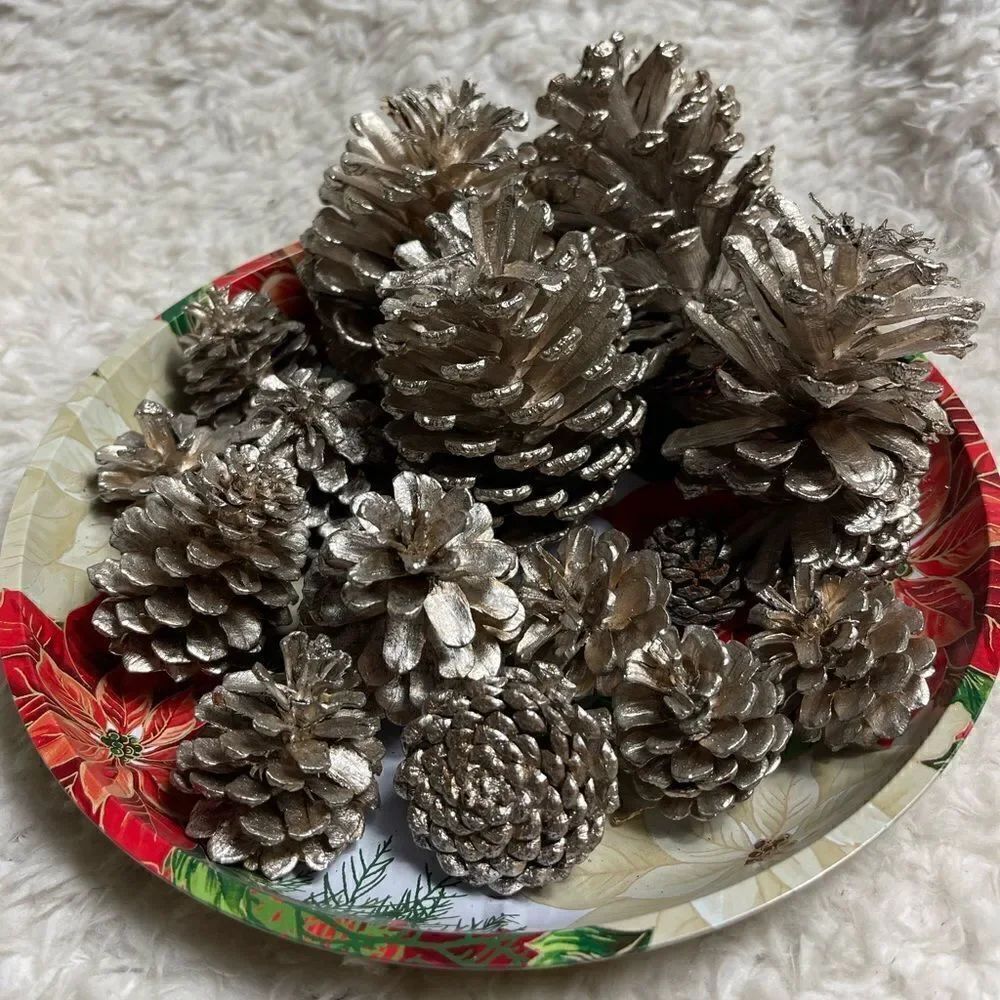 Set of 14 silvery gold Pine Cones 4,3,2” for Holiday Home Decor
